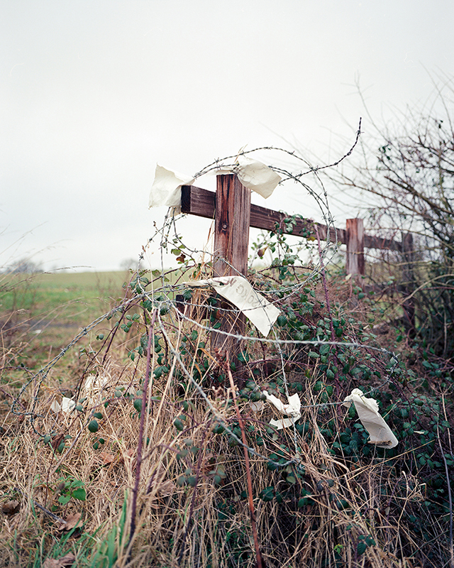 Image 14